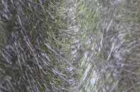 Isles Of Scilly fibreglass roof work